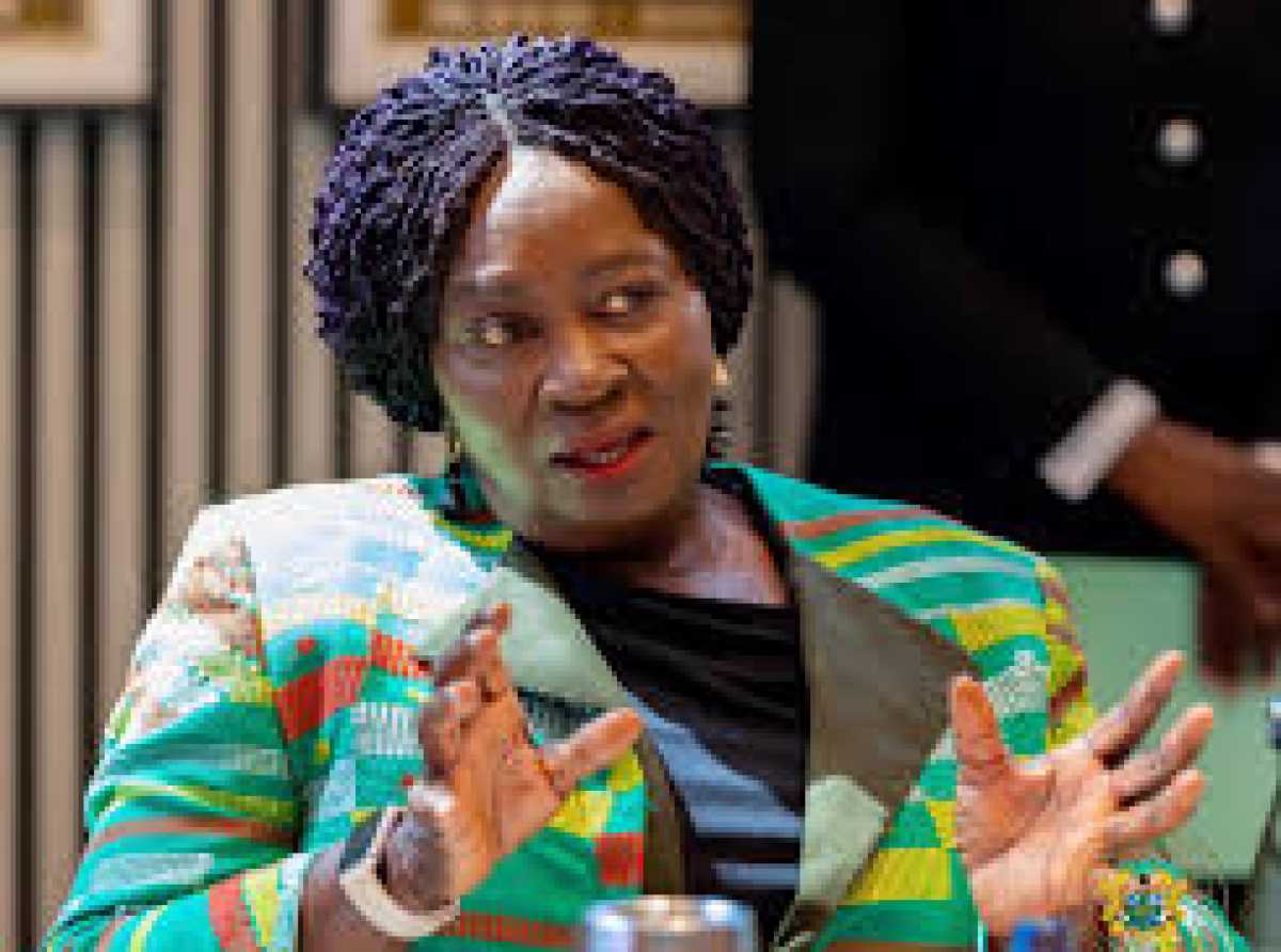  Africa’s Exclusion from UN Security Council Erodes Global Credibility — Prof. Opoku-Agyemang